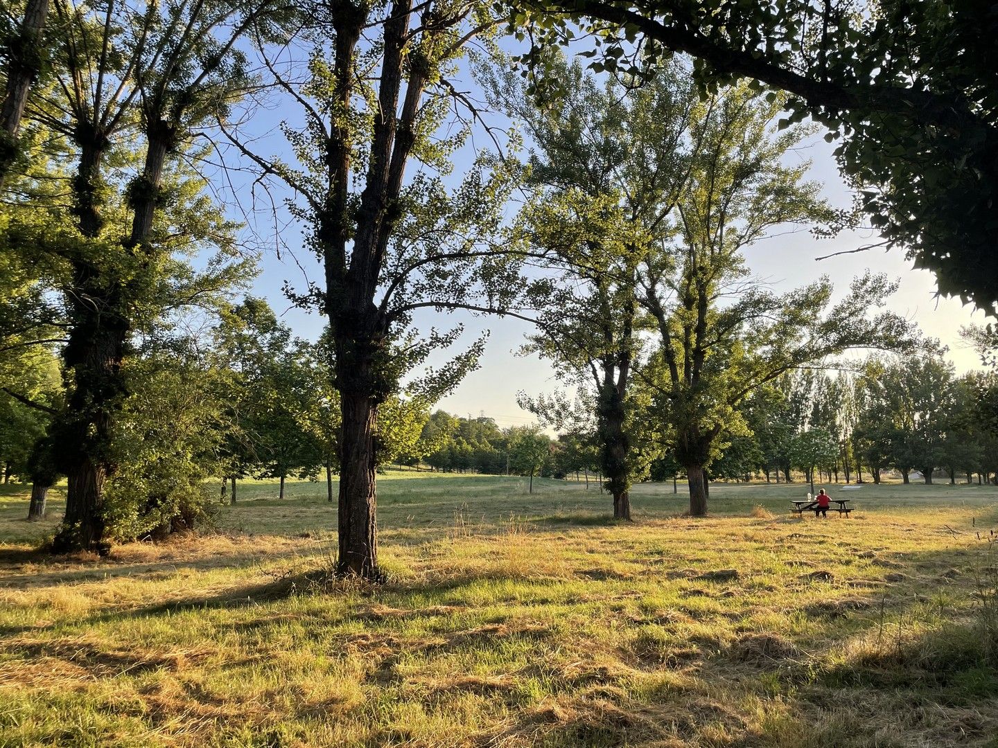 merendero-atardecer-parque-de-fuentes-blancas-burgos.jpg